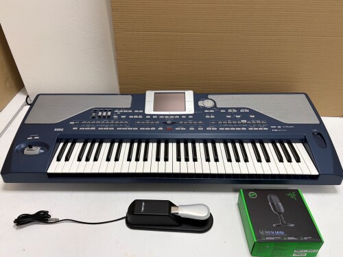 Lot R Korg PA 800 01.jpg